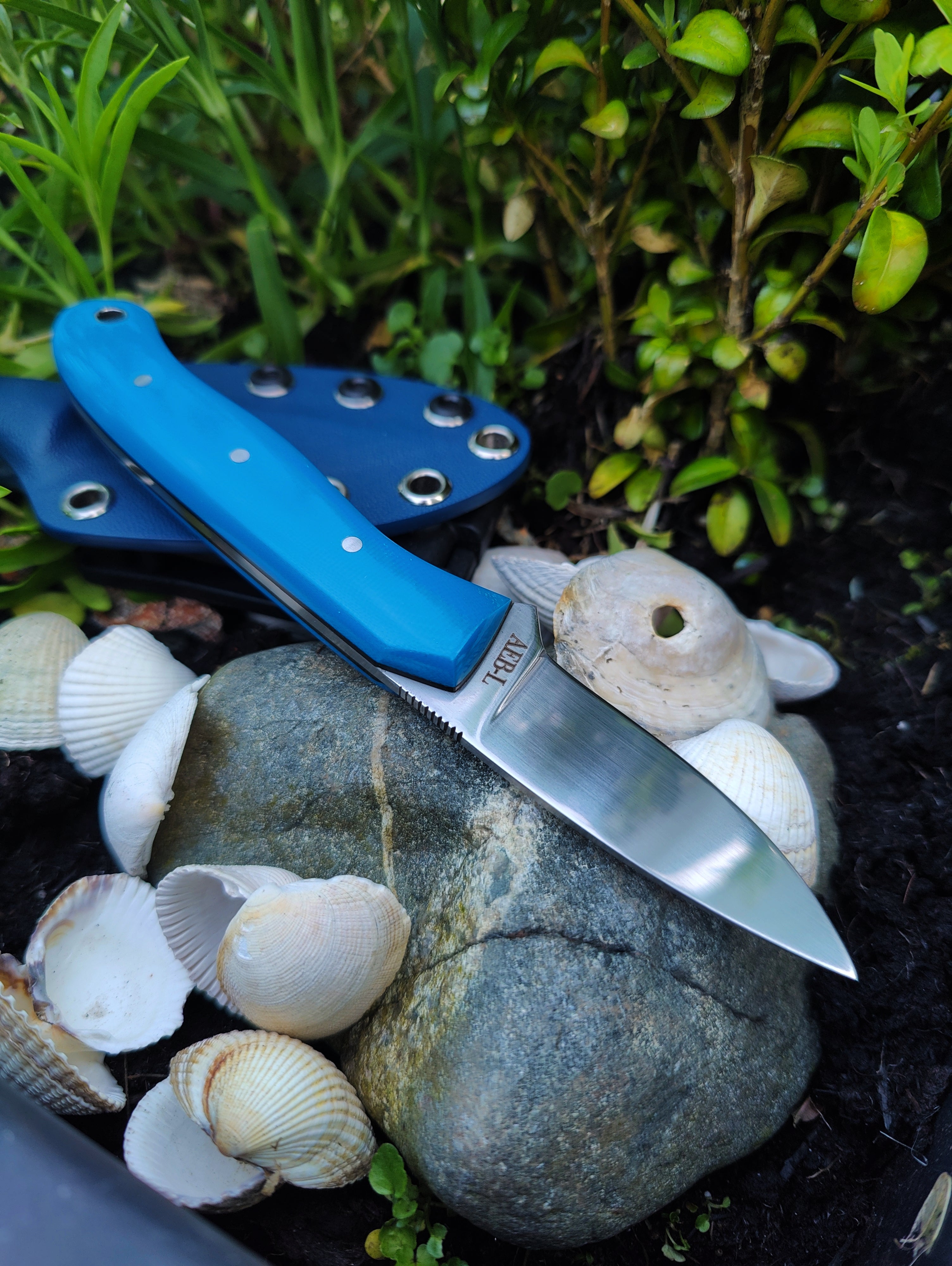 Foraging & oyster knife