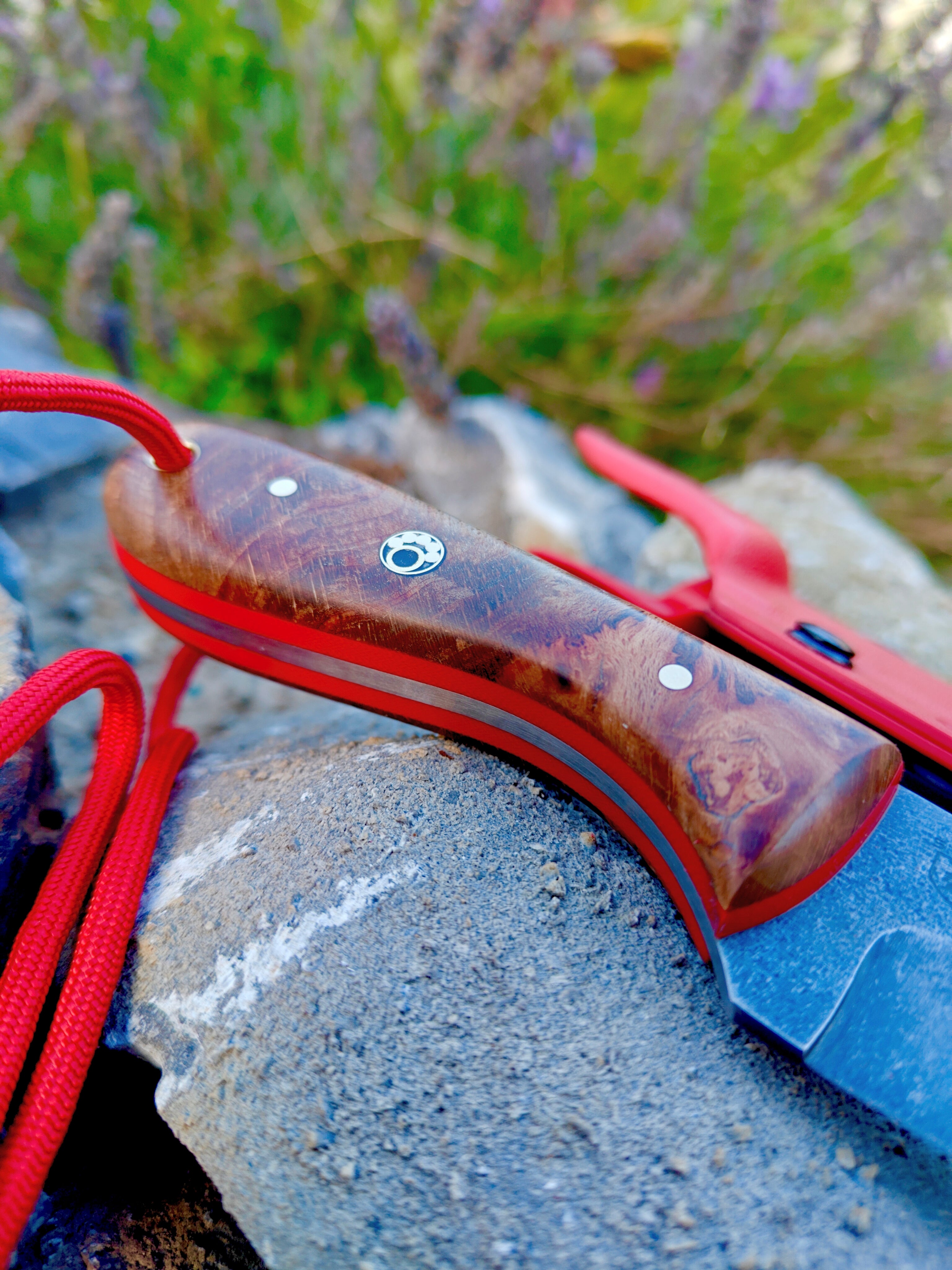 80crv2 high carbon necker,irish  flamed beech burl & red kydex sheath