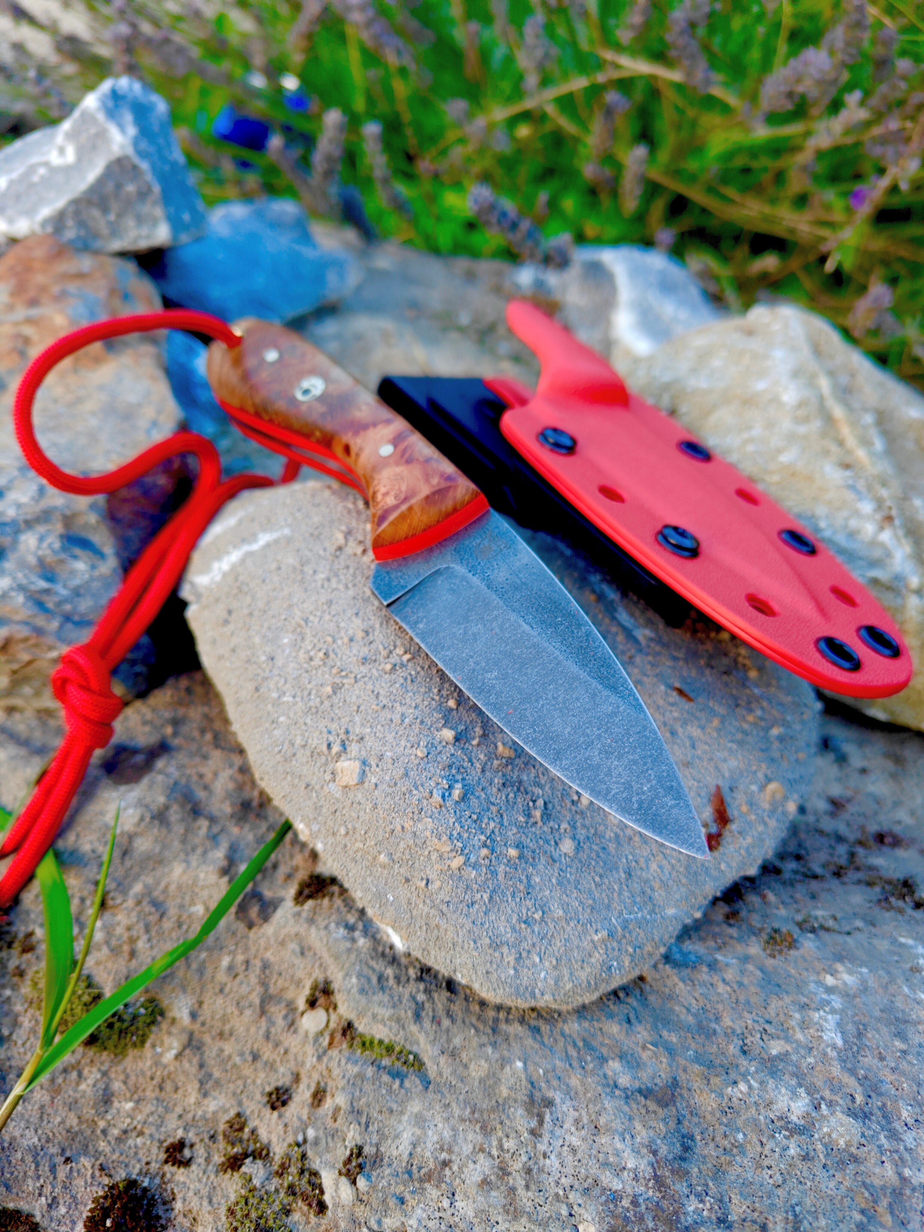 80crv2 high carbon necker,irish  flamed beech burl & red kydex sheath