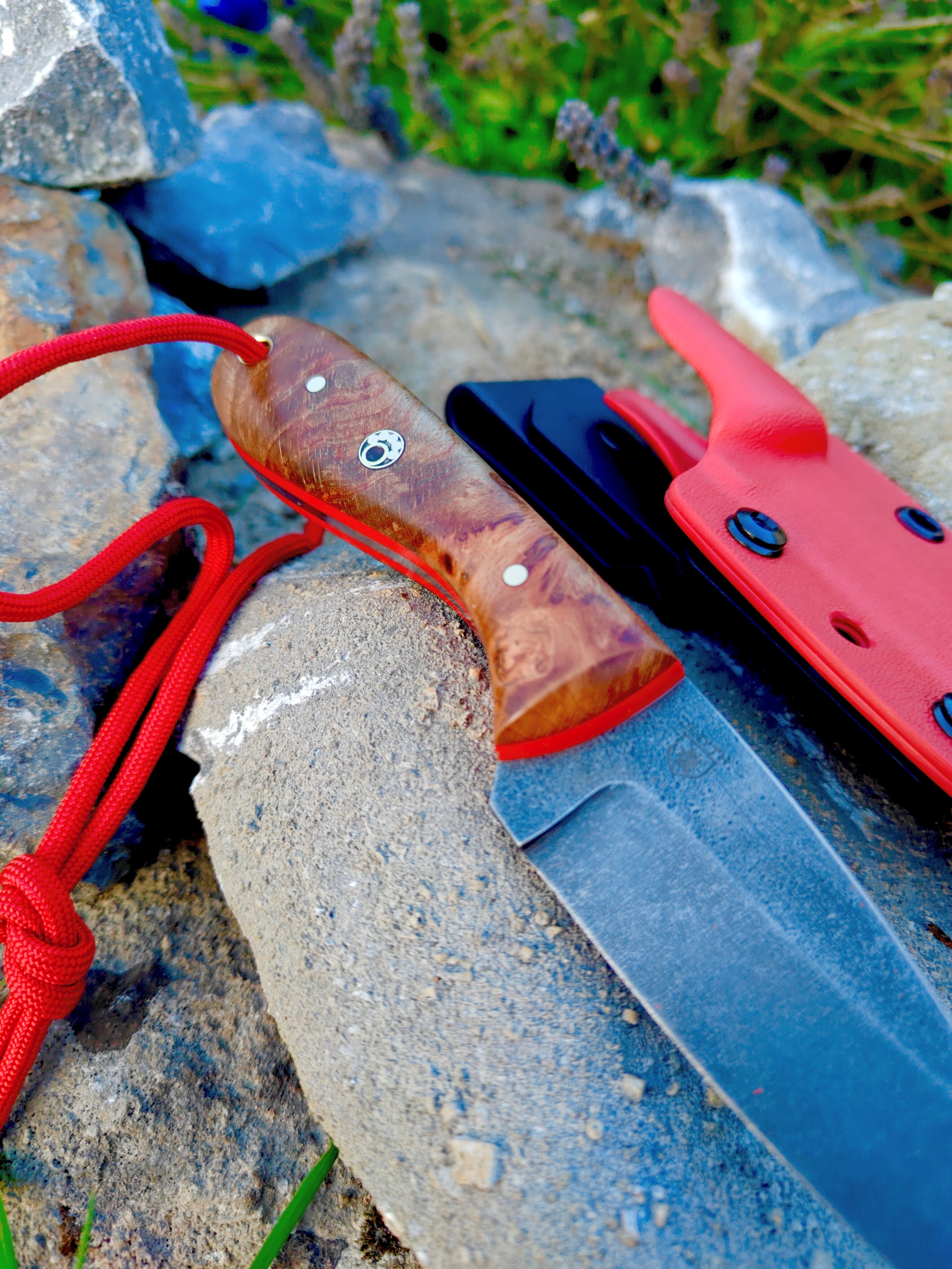 80crv2 high carbon necker,irish  flamed beech burl & red kydex sheath