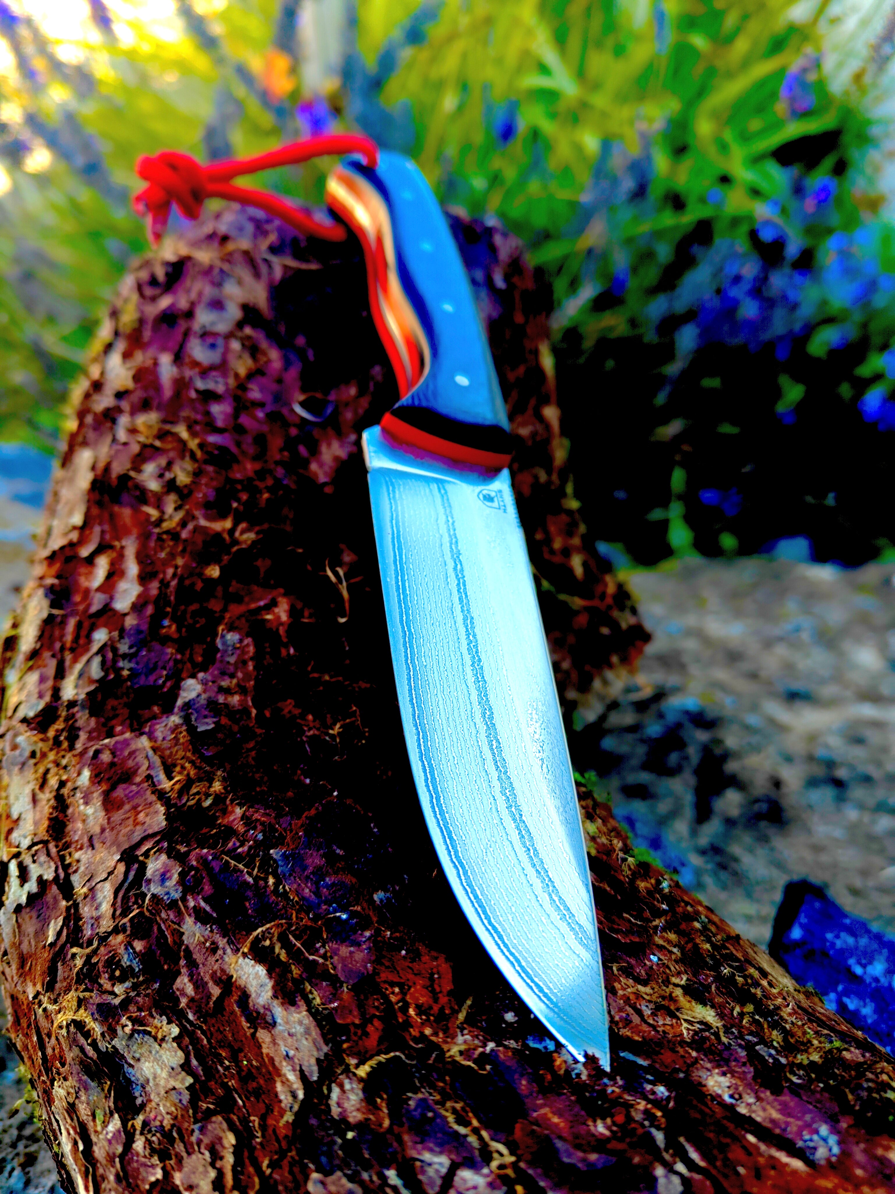 67 layer japanese vg10 Damascus, premium multipurpose bade combo