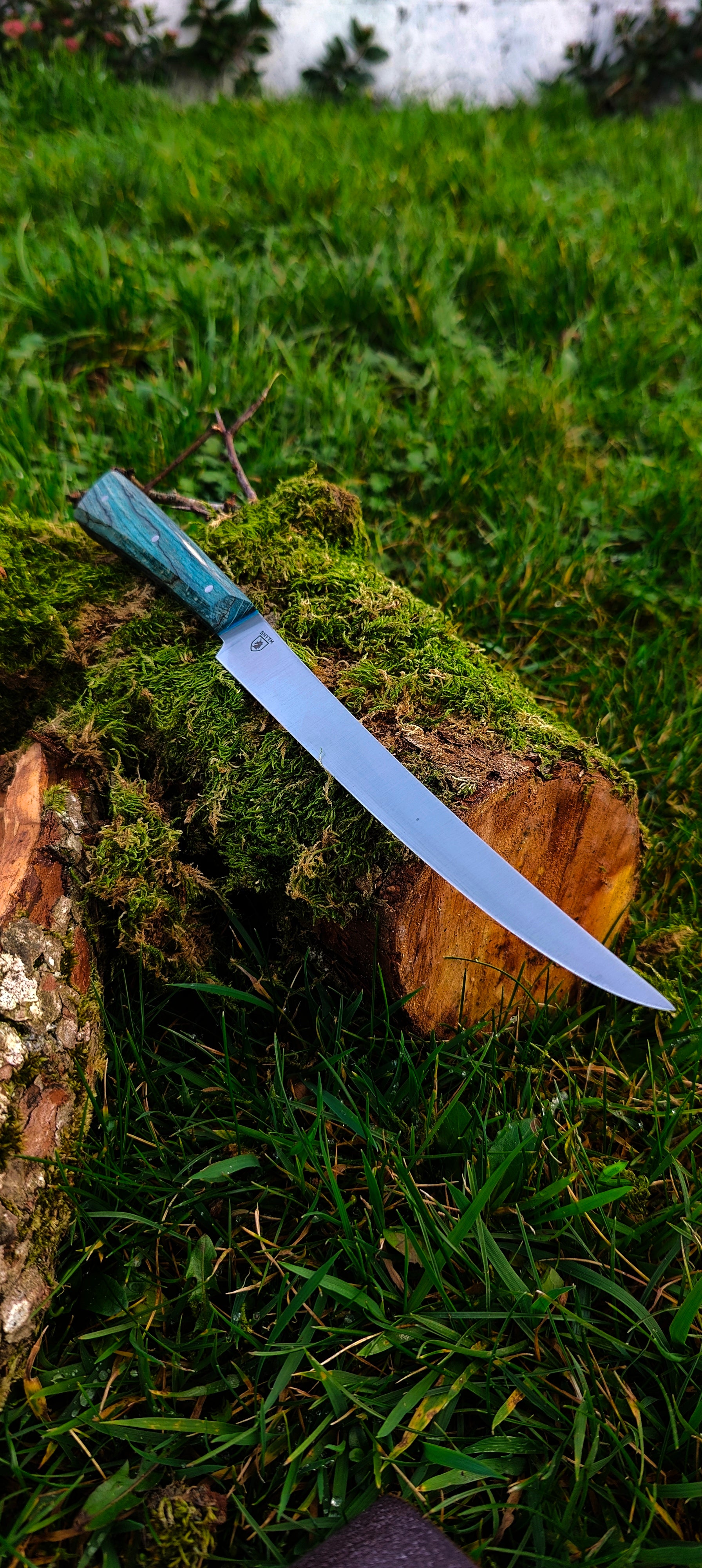 Filleting knife with blue spalted beechwood