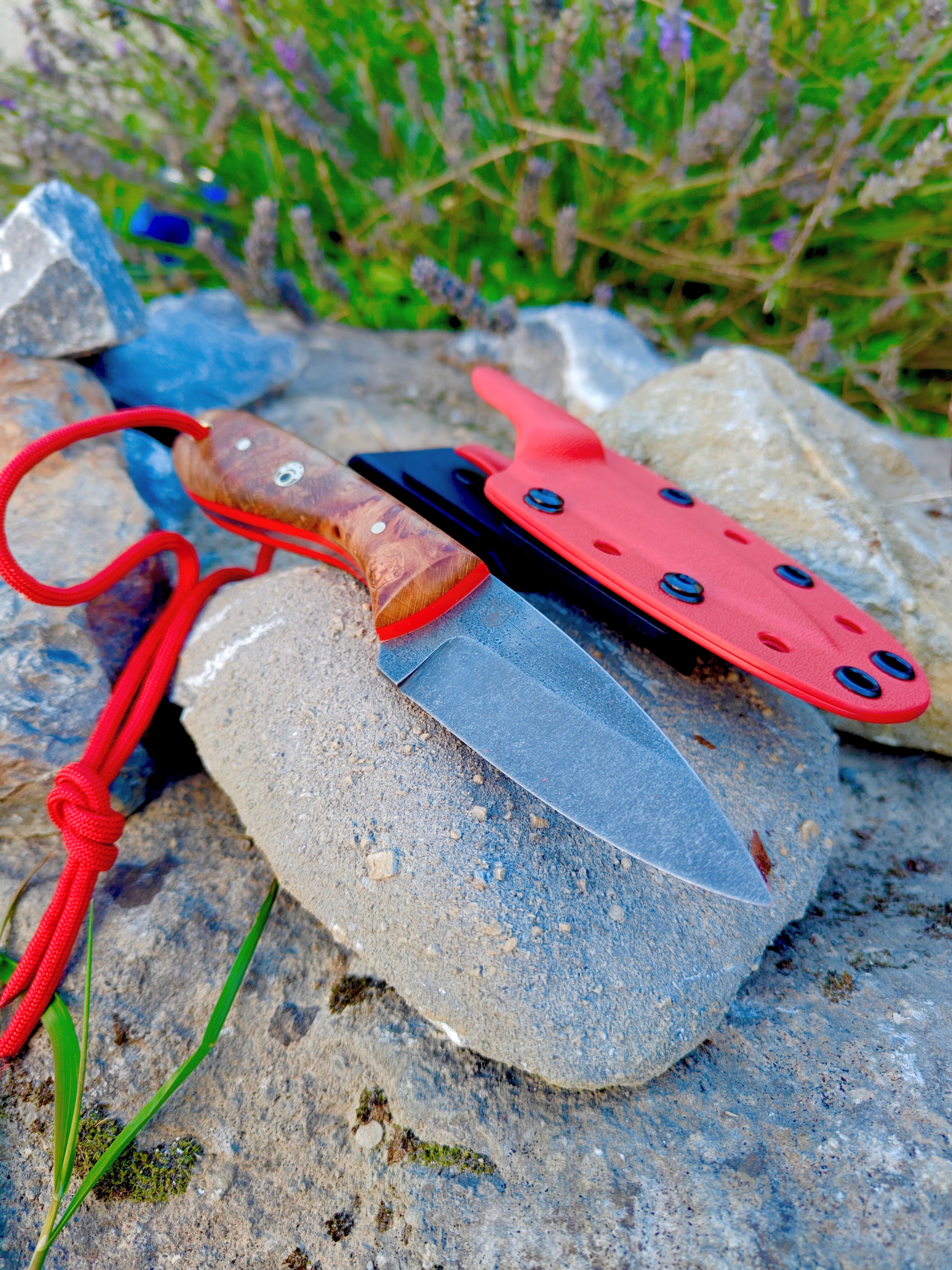 80crv2 high carbon necker,irish  flamed beech burl & red kydex sheath